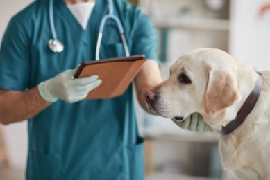 List of best veterinary clinics in Ludhiana