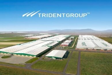 Trident Group