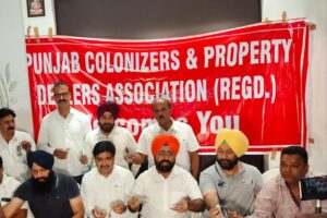 Punjab Colonizers and Property Dealers Association